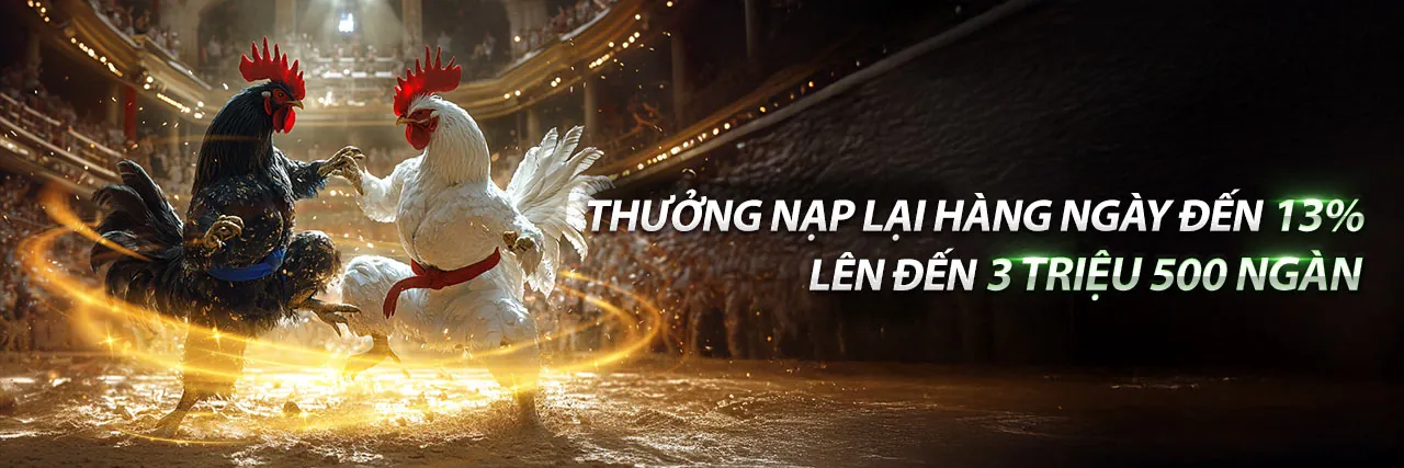 Đá Gà Trực Tiếp Lichnga – Sân Chơi Hấp Dẫn